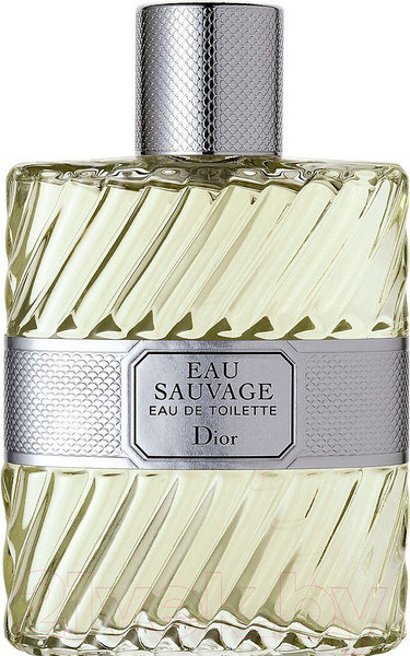 Изображение товара Туалетная вода Christian Dior Eau Sauvage (100мл)
