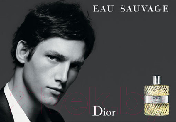 Изображение товара Туалетная вода Christian Dior Eau Sauvage (100мл)