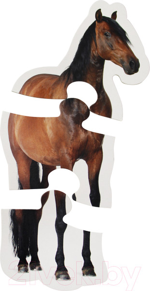 Изображение товара Развивающая игрушка Десятое королевство Maxi. Домашние животные / 02642 (14эл)