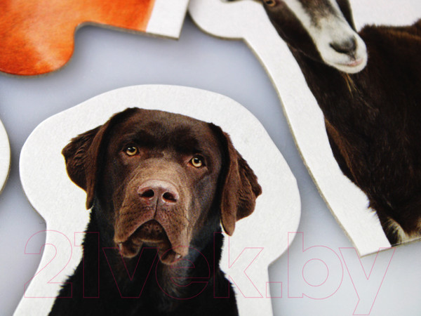 Изображение товара Развивающая игрушка Десятое королевство Maxi. Домашние животные / 02642 (14эл)