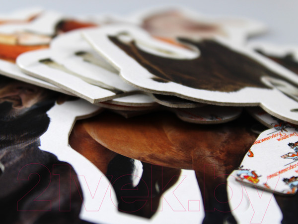 Изображение товара Развивающая игрушка Десятое королевство Maxi. Домашние животные / 02642 (14эл)