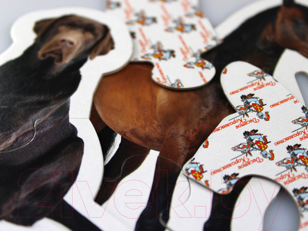 Изображение товара Развивающая игрушка Десятое королевство Maxi. Домашние животные / 02642 (14эл)