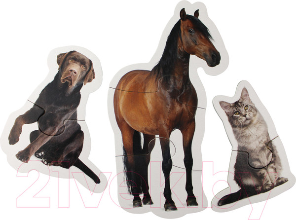 Изображение товара Развивающая игрушка Десятое королевство Maxi. Домашние животные / 02642 (14эл)