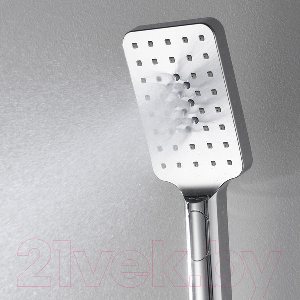 Изображение товара Лейка ручного душа Wasserkraft A126