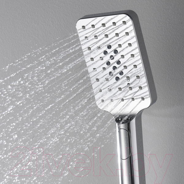 Изображение товара Лейка ручного душа Wasserkraft A126