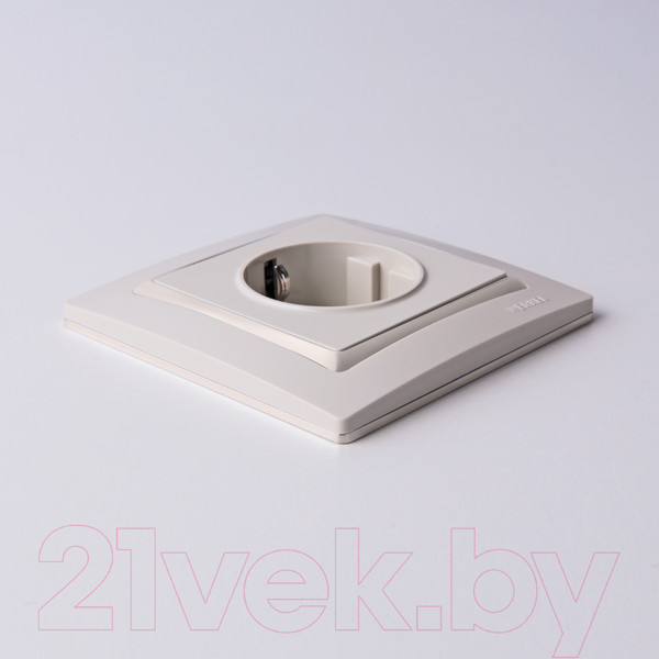 Изображение товара Розетка Werkel W1171003 / a051490 (слоновая кость)