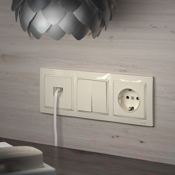 Изображение товара Розетка Werkel W1171003 / a051490 (слоновая кость)