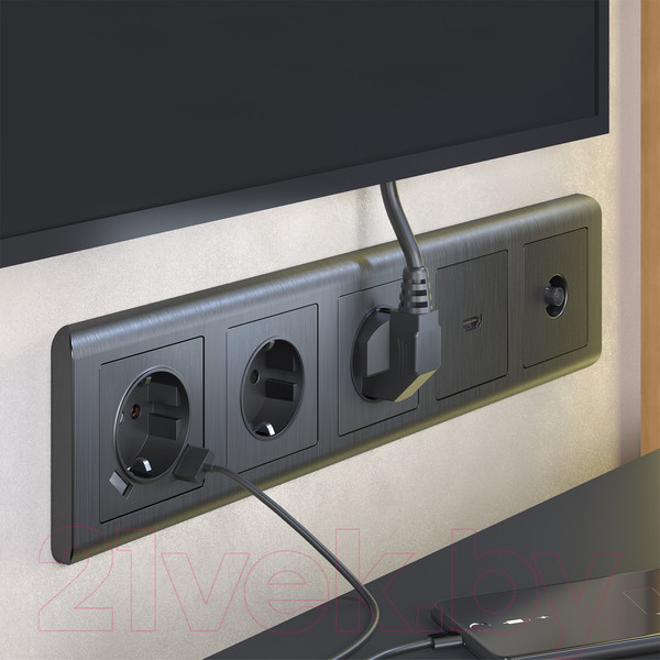Изображение товара Розетка Werkel W1171004 / a050761 (графит рифленый)