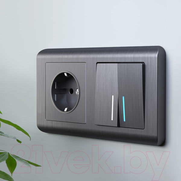 Изображение товара Розетка Werkel W1171004 / a050761 (графит рифленый)