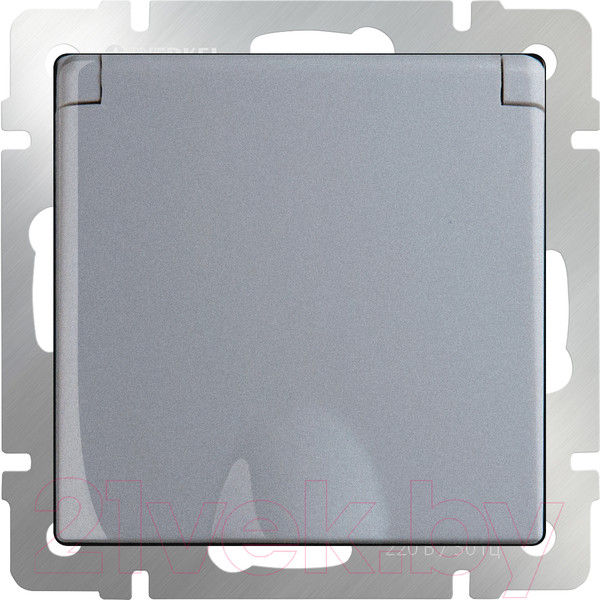 Изображение товара Розетка Werkel W1171206 / a051504 (серебристый)