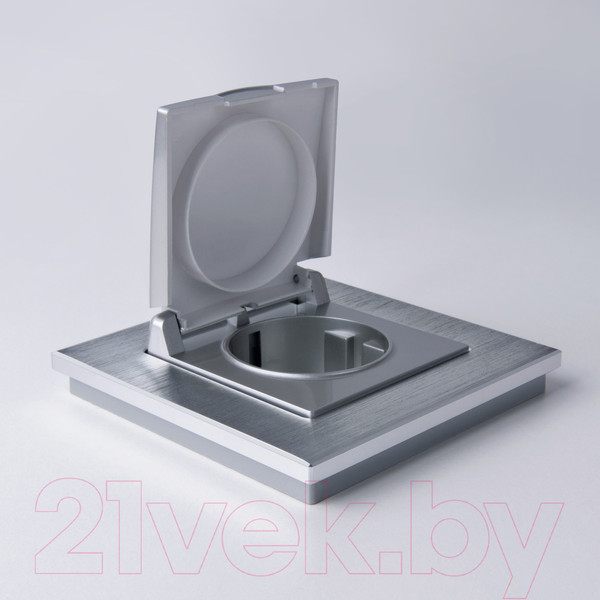 Изображение товара Розетка Werkel W1171206 / a051504 (серебристый)