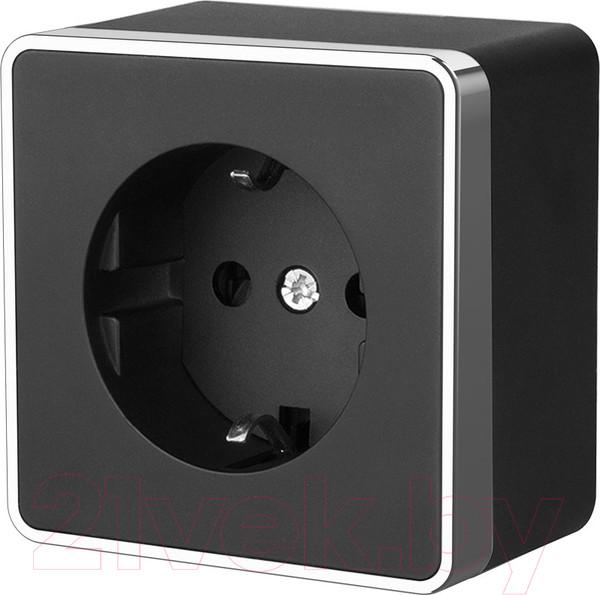 Изображение товара Розетка Werkel Gallant W5071035 / a050973 (черный/хром)