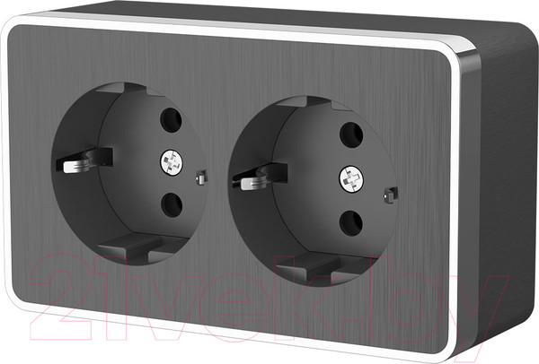 Изображение товара Розетка Werkel Gallant W5072104 / a051342 (графит рифленый)