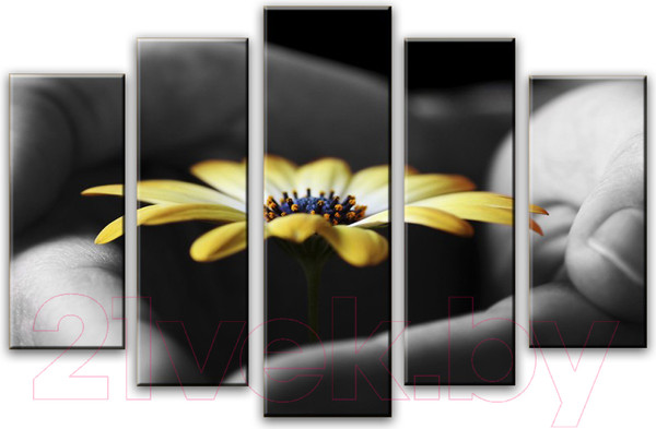 Изображение товара Картина модульная Arthata 5m-355 (105x60)