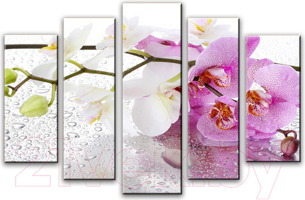 Изображение товара Картина модульная Arthata 5m-358 (105x60)