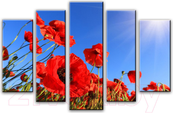 Изображение товара Картина модульная Arthata 5m-365 (130x80)