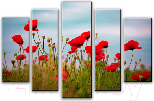 Изображение товара Картина модульная Arthata 5m-371 (160x90)