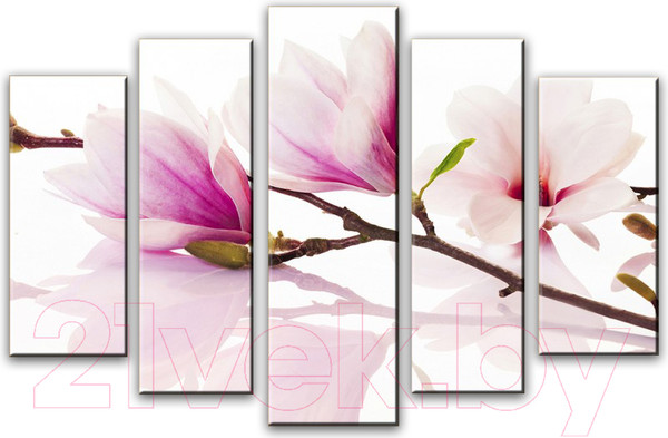 Изображение товара Картина модульная Arthata 5m-375 (105x60)