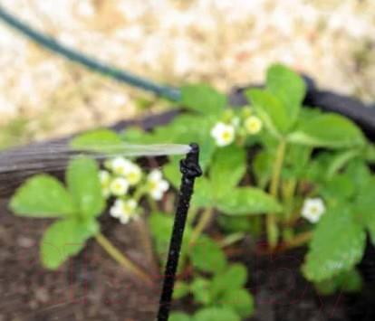 Изображение товара Дождеватель Жук На 1 грядку / 330689-00