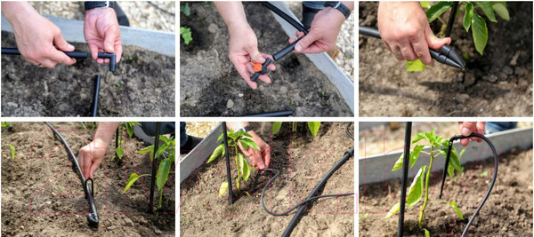 Изображение товара Система капельного полива Жук От емкости на 20 растений / 4732-00