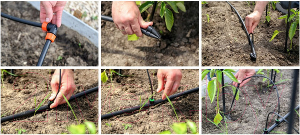 Изображение товара Система капельного полива Жук От водопровода на 20 растений / 7832-00