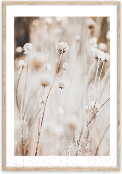 Изображение товара Картина Orlix Сухоцвет / OB-14039