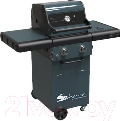 Изображение товара Газовый гриль Sahara X250 2 Burner BBQ / X250EW-ST (дымчатый )