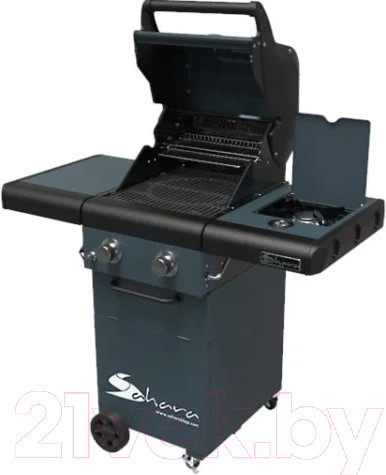 Изображение товара Газовый гриль Sahara X250 2 Burner BBQ / X250EW-ST (дымчатый )