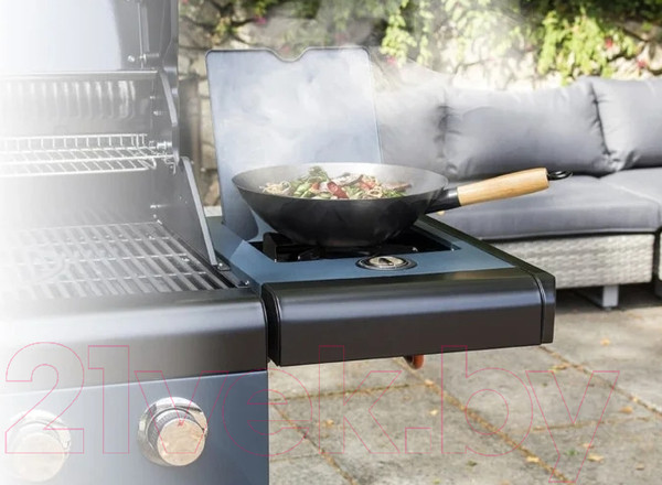 Изображение товара Газовый гриль Sahara X250 2 Burner BBQ / X250EW-ST (дымчатый )