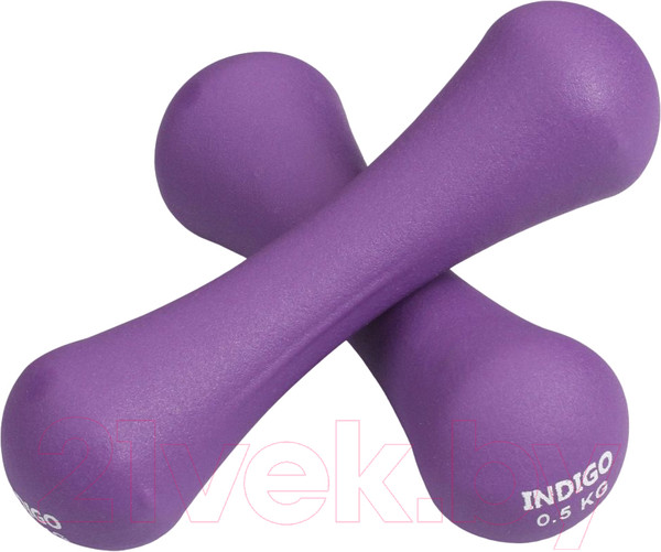 Изображение товара Набор гантелей Indigo Sport IN234 (2x0.5кг, фиолетовый)