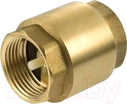 Изображение товара Обратный клапан магистральный Aqualink 1 1/4" / СС03957