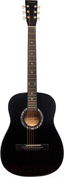 Изображение товара Акустическая гитара Terris TF-380A BK