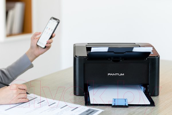 Изображение товара Принтер Pantum P2500NW