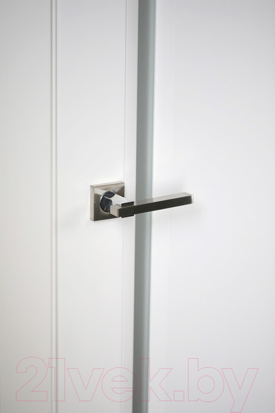 Изображение товара Дверь межкомнатная Belwooddoors Аурум 1 80x200 (эмаль графит/сатин двусторонний каленый)