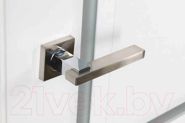 Изображение товара Дверь межкомнатная Belwooddoors Аурум 1 80x200 (эмаль графит/сатин двусторонний каленый)