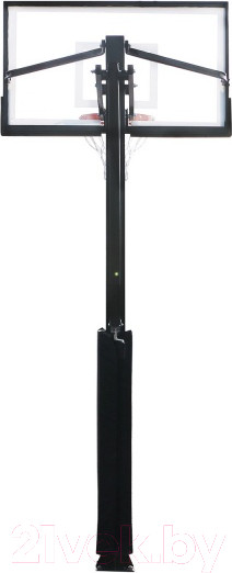 Изображение товара Баскетбольный стенд DFC ING54U