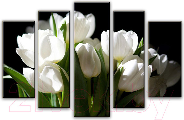 Изображение товара Картина модульная Arthata 5m-402 (105x60)