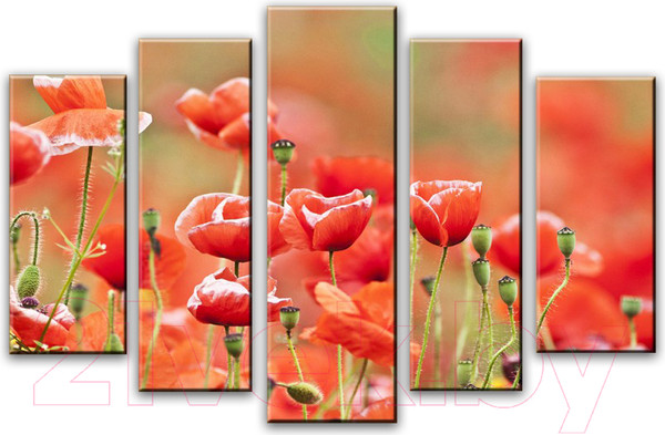 Изображение товара Картина модульная Arthata 5m-421 (160x90)