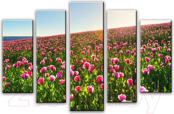 Изображение товара Картина модульная Arthata 5m-423 (160x90)