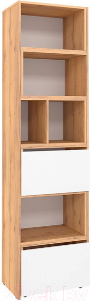 Изображение товара Стеллаж Глазов Лойс 95 (дуб золотой/белый)