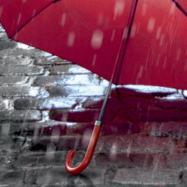 Изображение товара Фотообои листовые Citydecor Красный зонт (100x254)