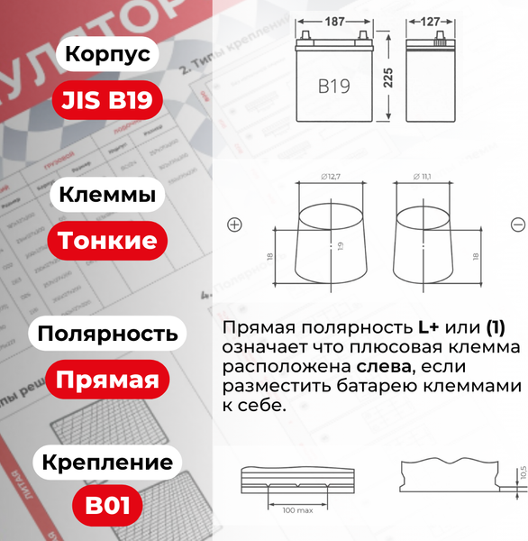 Изображение товара Автомобильный аккумулятор Kainar Asia 42 JL+ 350A / 037 26 46 03 0021 02 03 0 R (42 А/ч)
