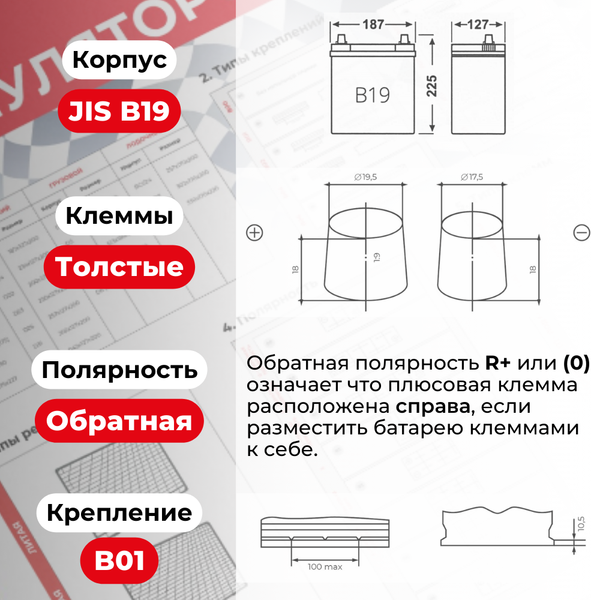 Изображение товара Автомобильный аккумулятор Kainar Asia 42 JR+ 350A / 037 26 46 03 0021 02 03 0 L (42 А/ч)