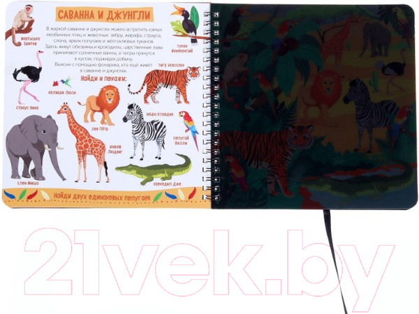 Изображение товара Развивающая книга Буква-ленд Зооленд с волшебным фонариком / 4700936