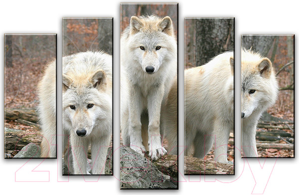 Изображение товара Картина модульная Arthata 5m-424 (160x90)