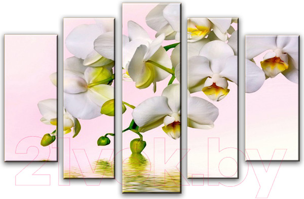 Изображение товара Картина модульная Arthata 5m-455 (130x80)