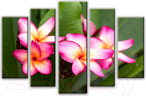 Изображение товара Картина модульная Arthata 5m-458 (160x90)