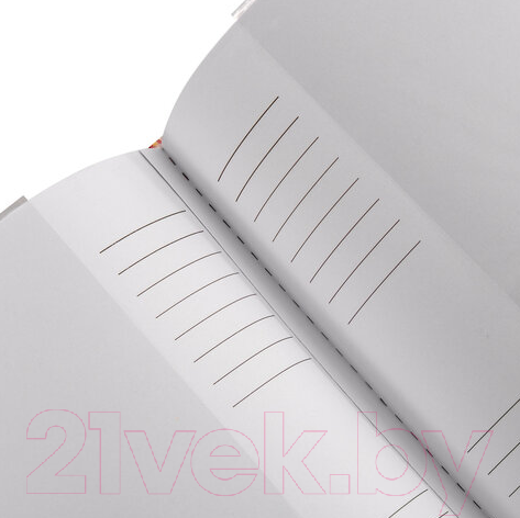 Изображение товара Фотоальбом Brauberg It's A Girl / 391145 (розовый)