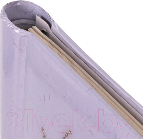 Изображение товара Фотоальбом Brauberg Фотоаппарат / 391161