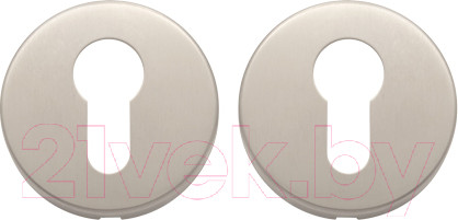 Изображение товара Накладка на цилиндр Apecs DP-C-02-INOX (нержавеющая сталь)